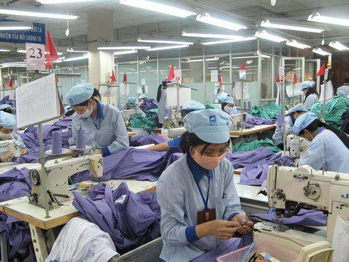 越南出口驟降80%、42900家工廠停工 訂單流失背后與中國的經濟角色